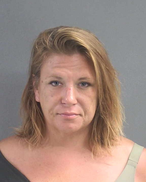 Booking photograph for HEIDI MICHELLE SIMMS