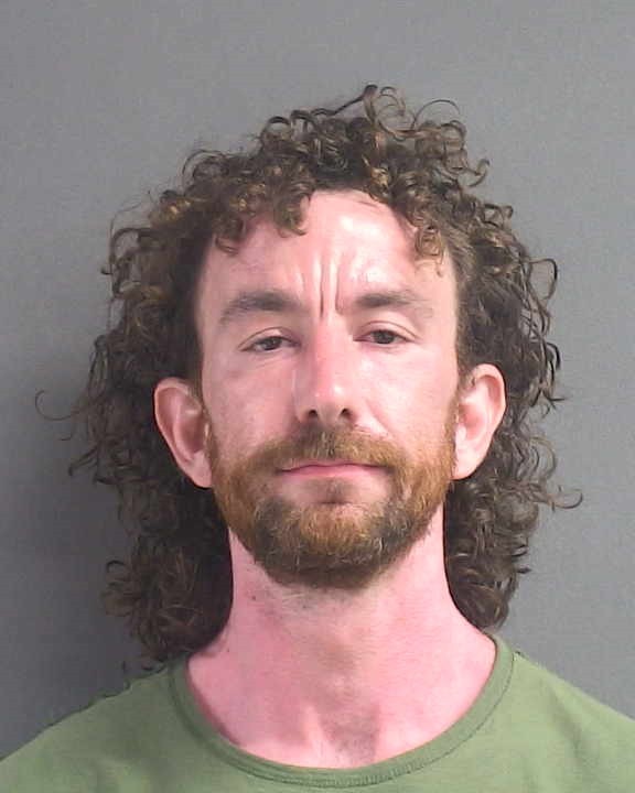 Booking photograph for JESSE M WILLS