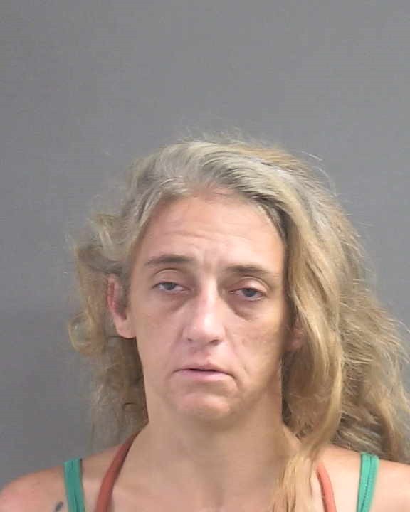 Booking photograph for SARAH P HUNTER
