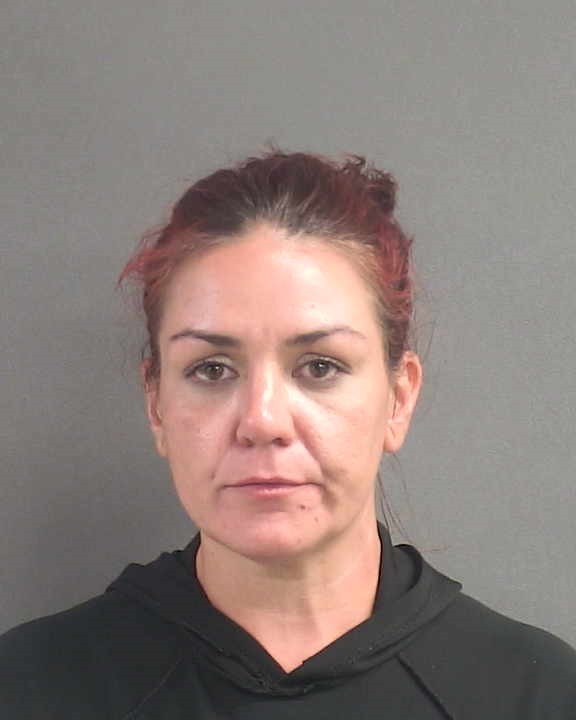 Booking photograph for MEGAN M MACHESE