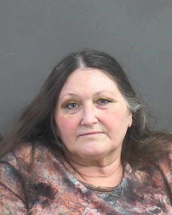 Booking photograph for LOIS ANN MILLER