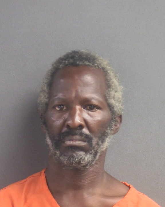 Booking photograph for CARLISS MARLION JOHNSON