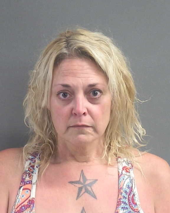 Booking photograph for ALICIA MARIE GOODLIN