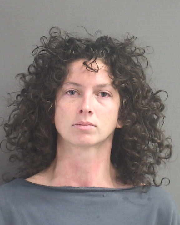 Booking photograph for DANA A SAWYER