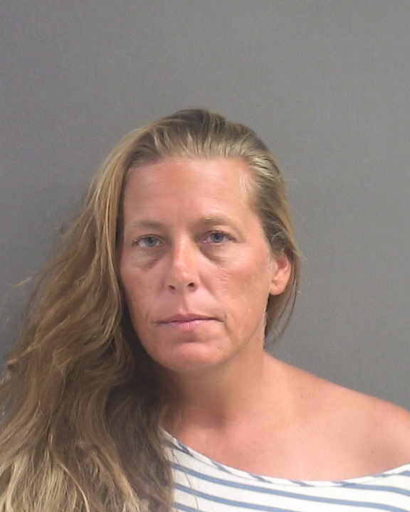 Booking photograph for MELISSA TAMULEVICH