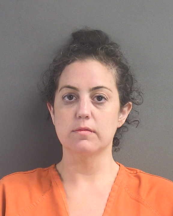 Booking photograph for MELISSA LEIGH LUDWIG