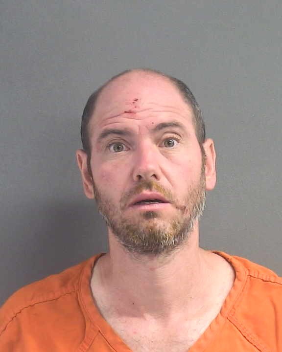 Booking photograph for PATRICK MICHAEL DELAURENTIS