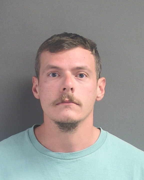 Booking photograph for PHILIP S TAFE