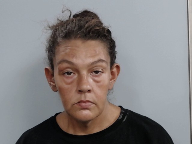 Booking photograph for STEPHANIE MARIELUCILE CARTER