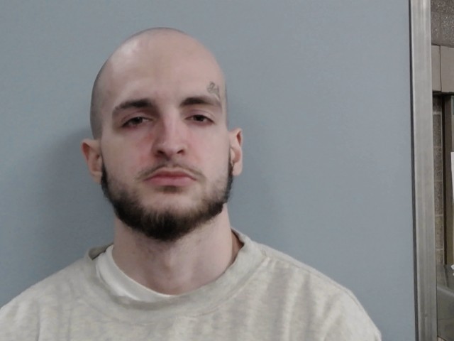 Booking photograph for DEVIN LANE DISHMAN
