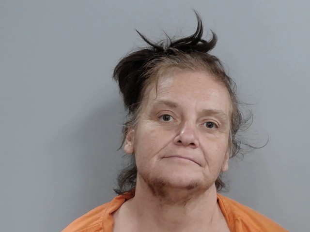Booking photograph for TABATHA LYNN SALLEE