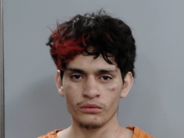 Booking photograph for VILLA WILFREDO SANTANA