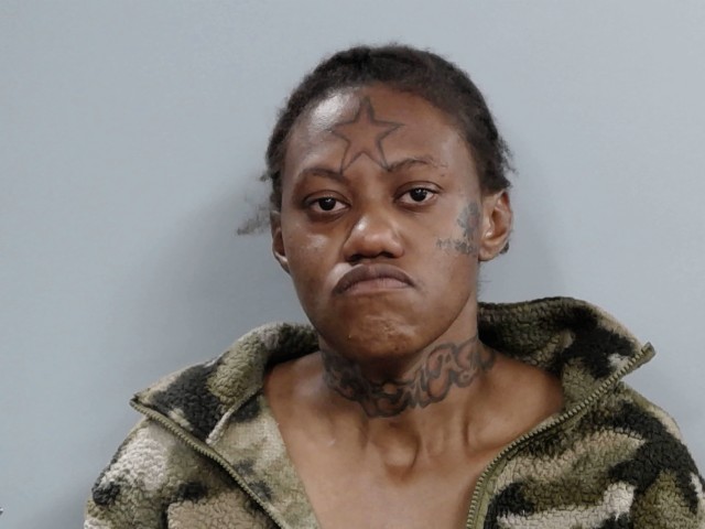 Booking photograph for NATASHA LYNETTE TAYLOR